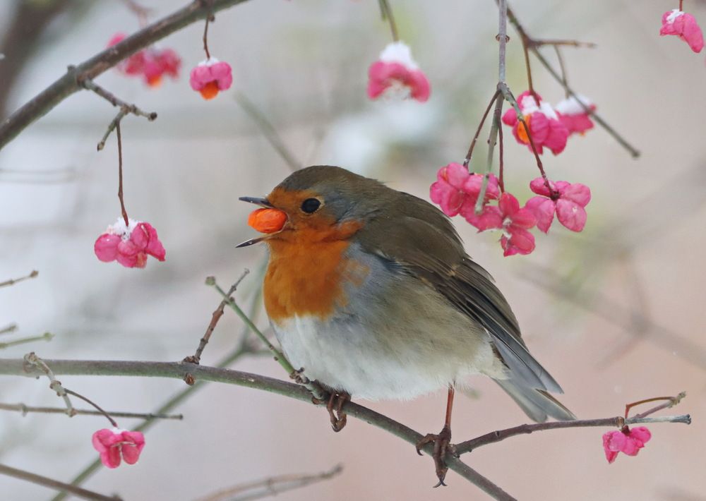Photograph by Сергей Маслов