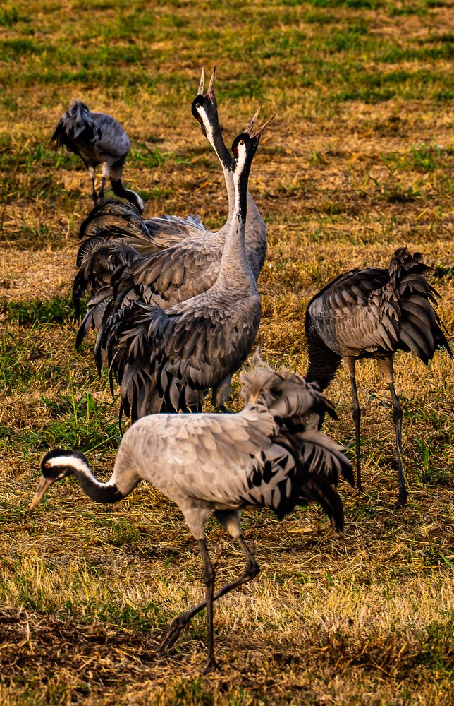 Photograph by Igor Shulkin