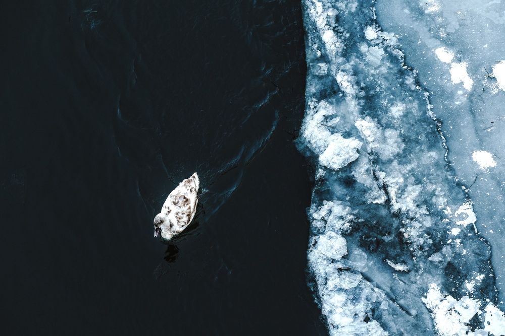 Photograph by Delta MC