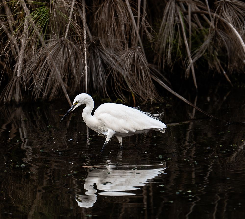 Photograph by Igor Shulkin