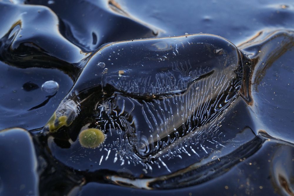 Photograph by Лена Максимкина