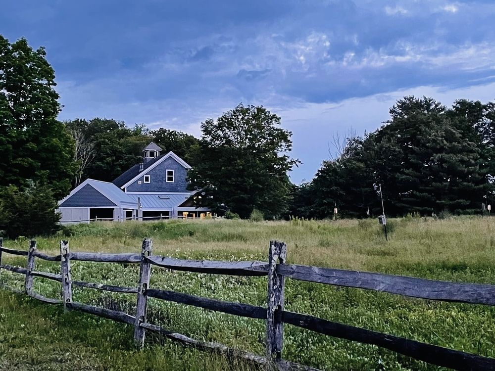 Фотография автора Olga Andriuc