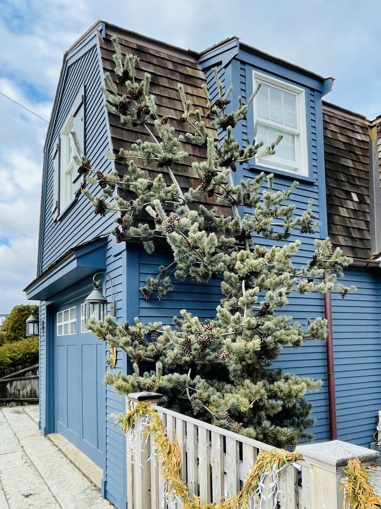 Фотография автора Olga Andriuc