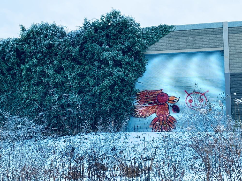 Фотография автора Olga Andriuc