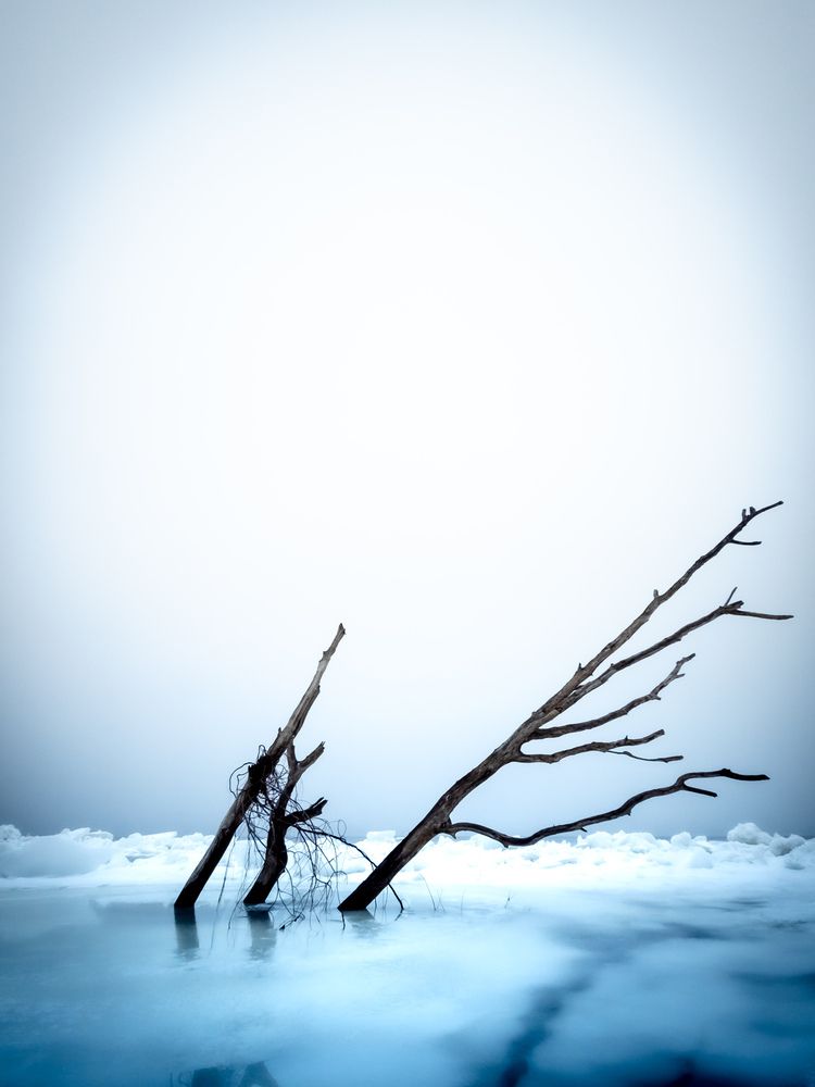 Туман на волге