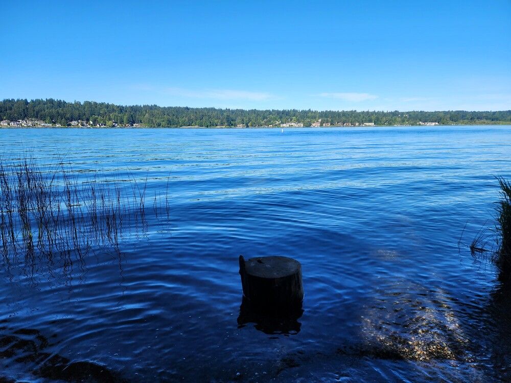 Photograph by G GOVIL