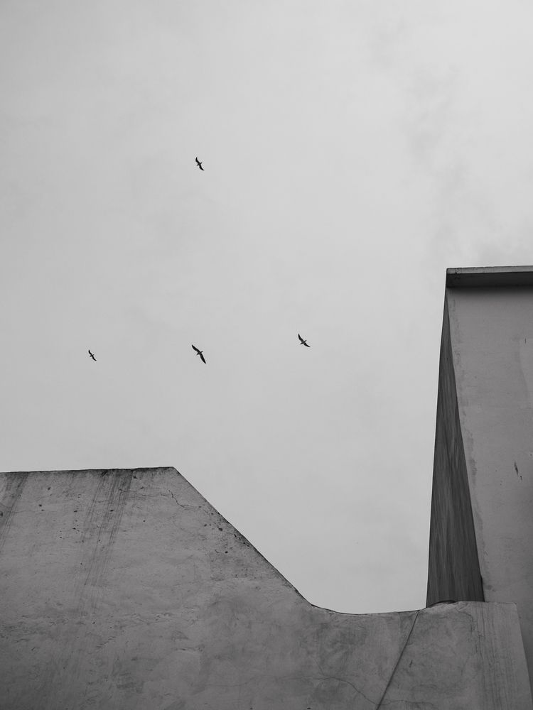 Фотография автора Slutskiy Nikolay