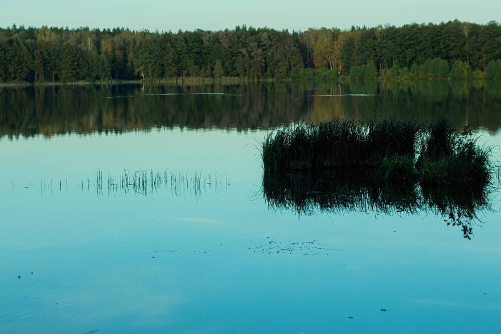 Photograph by Алексей Морозов