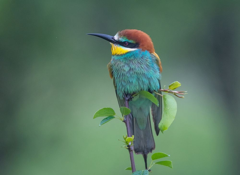 Photograph by Хасан Журтов