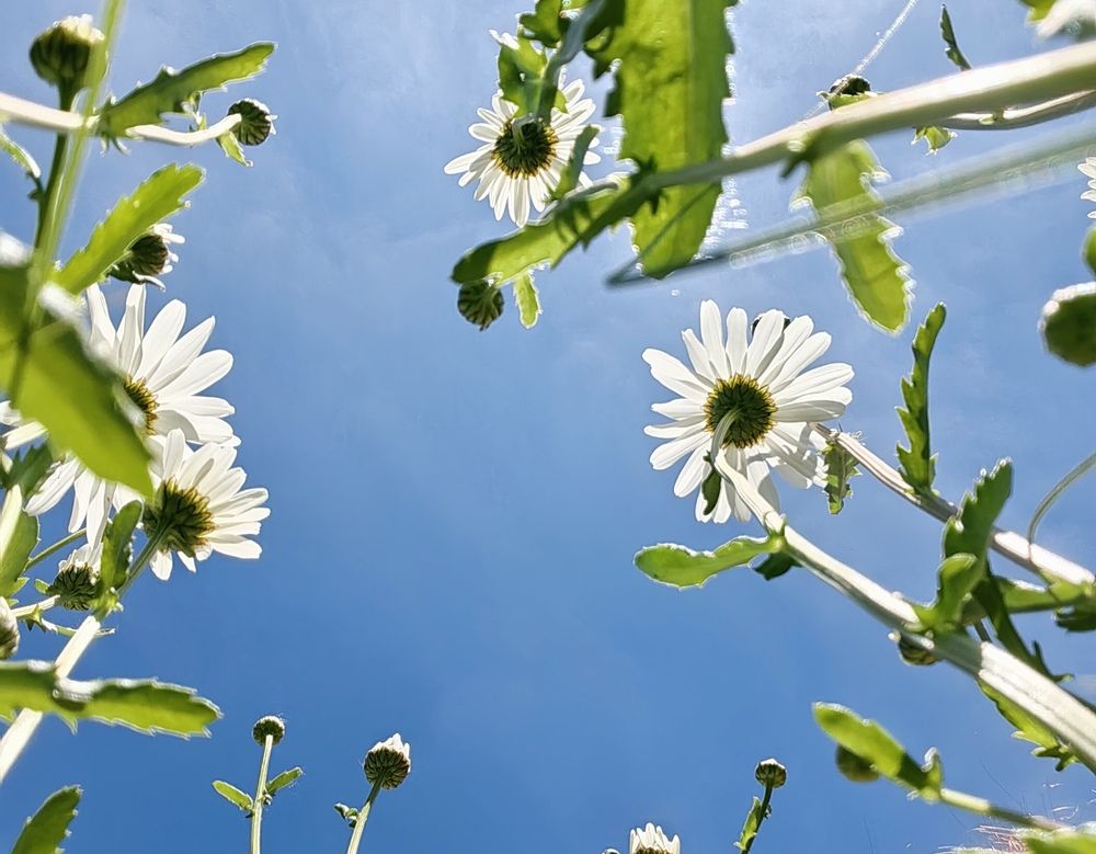 Фотография автора Анастасия Кременчугская