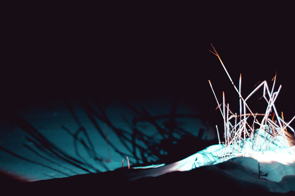 Photograph by Алексей Морозов