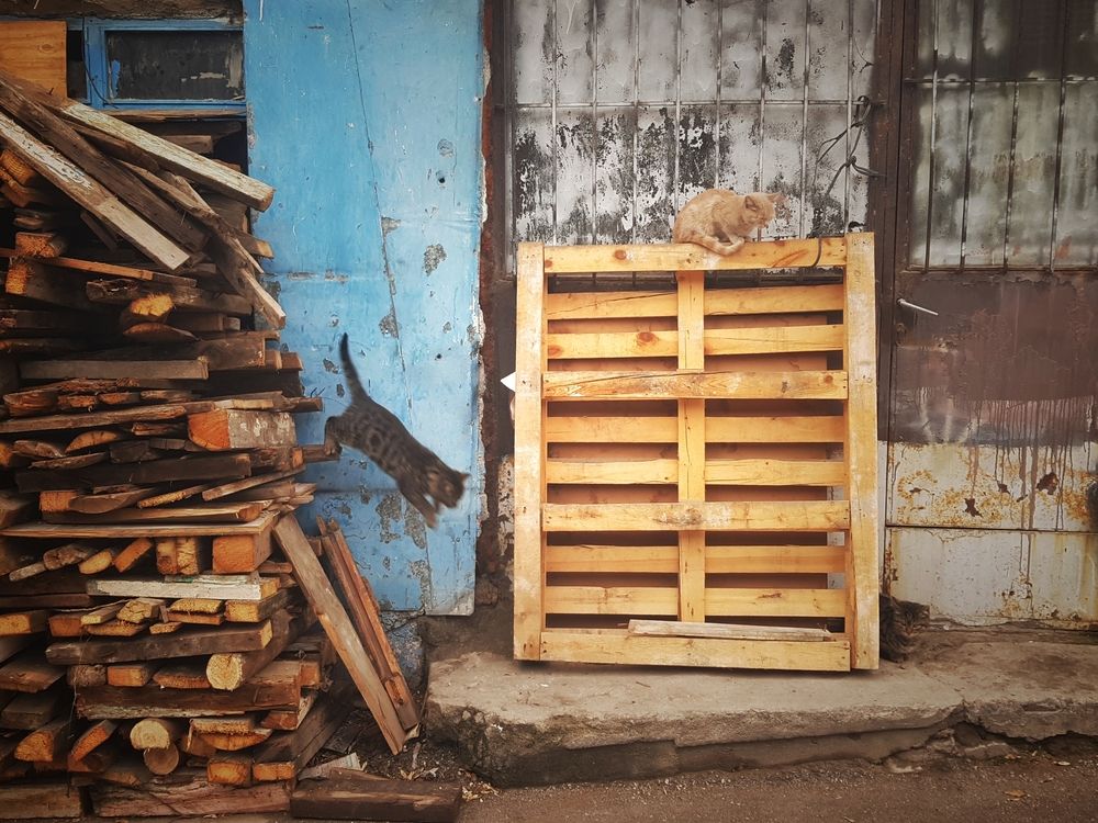 Photograph by fuat cimok