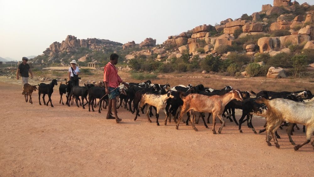 Photograph by SRINIVASA SUBRAHMANYAM SARIPALLI
