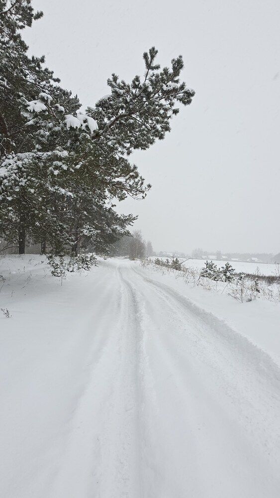 Фотография автора Олеся