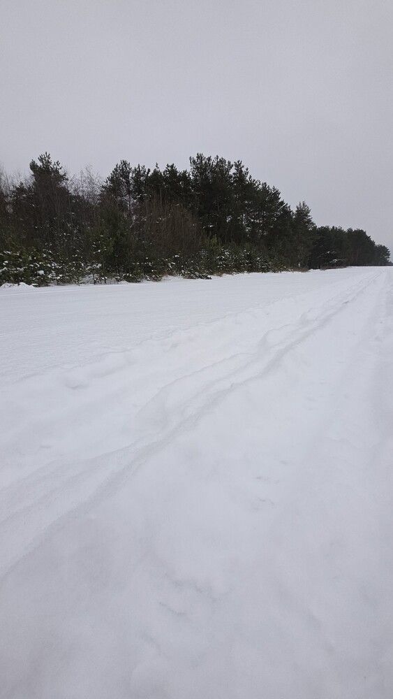 Фотография автора Олеся