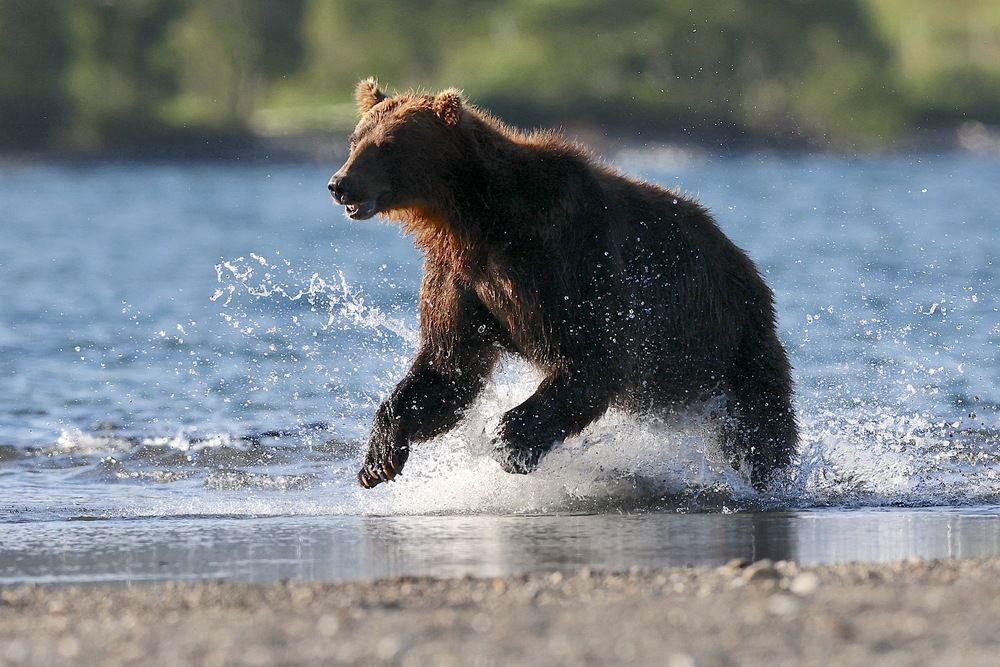 Фотография автора Голубков Леонид