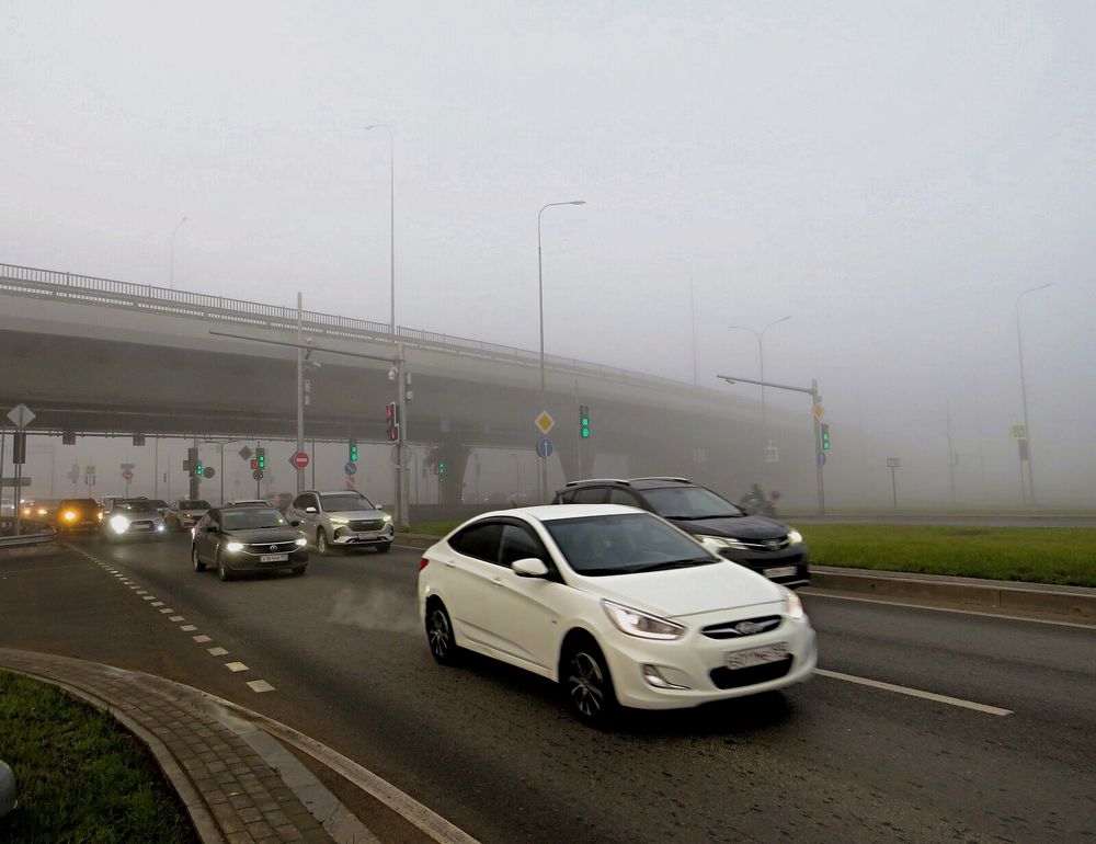 Утренний туман