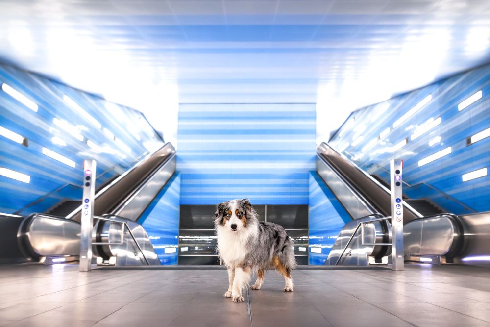 Photograph by Sina Möller