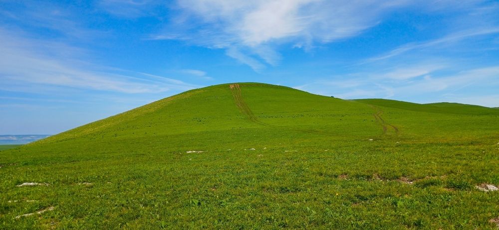 Фотография автора Valerya Vasileva