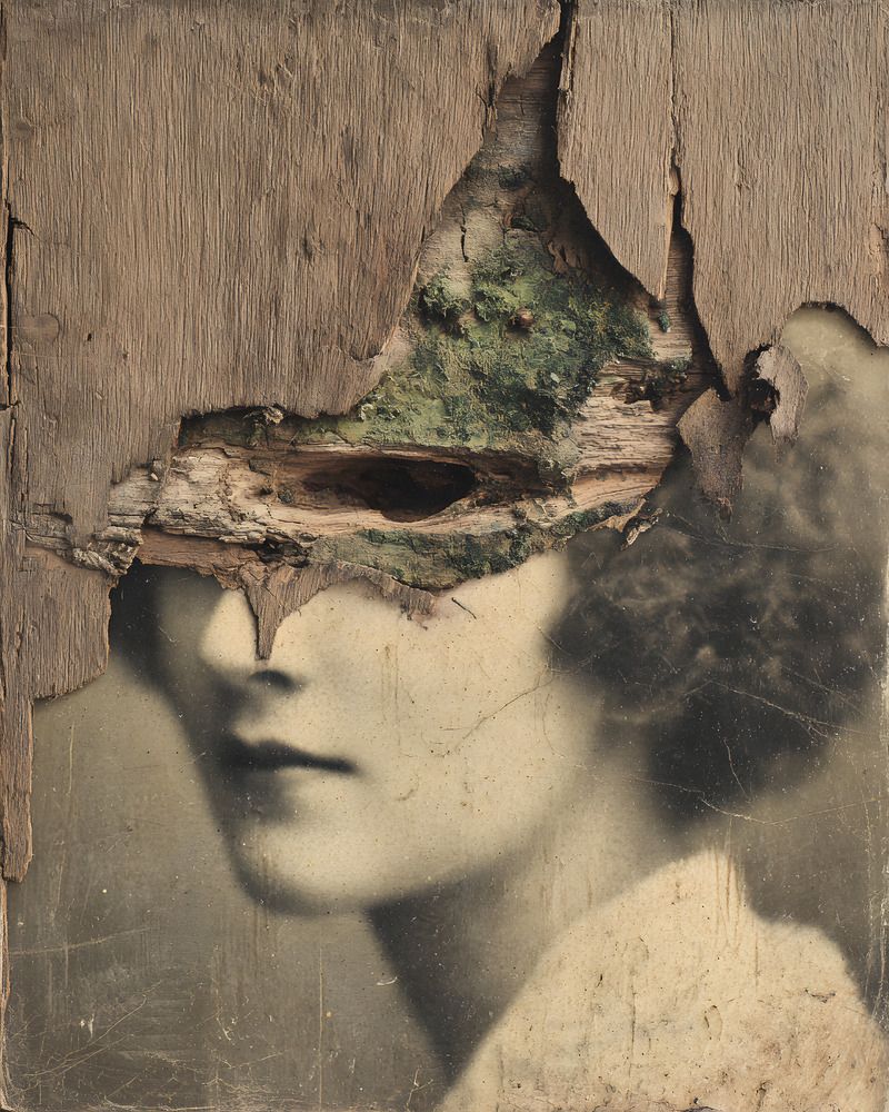 Photograph by Леся Козюра