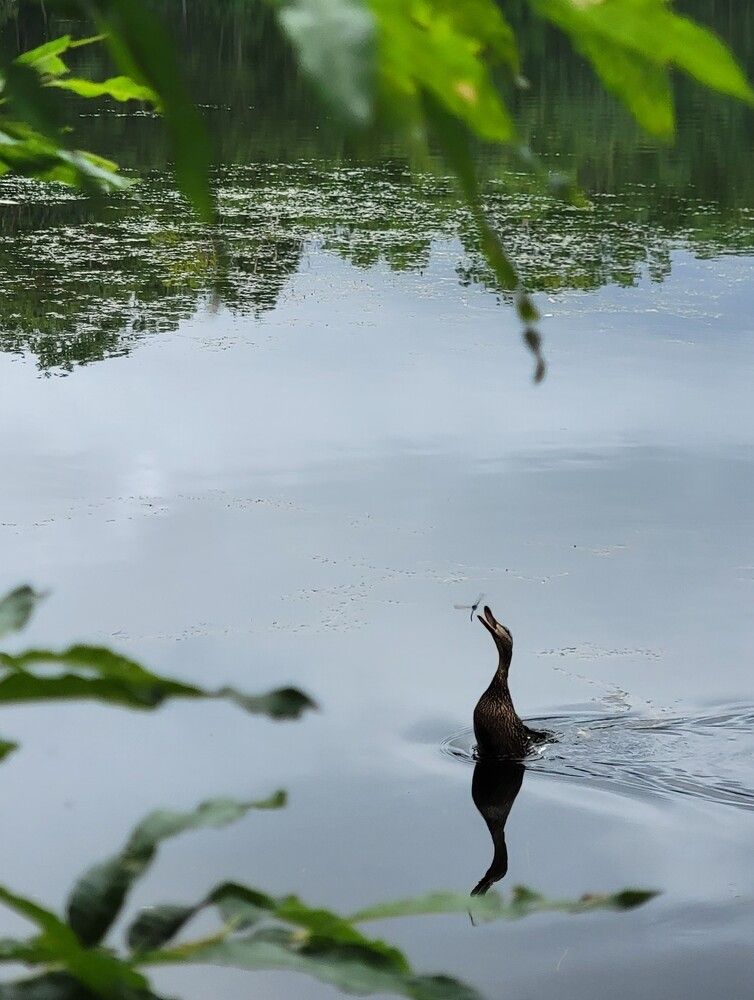 Photograph by Валентин Науменков