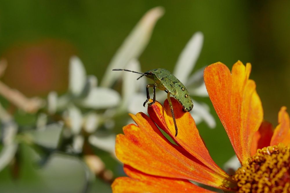 Photograph by Владимир Лобанов