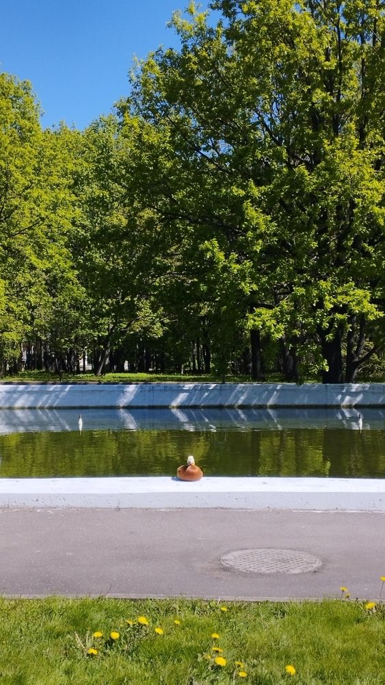 Photograph by Ольга Антохина