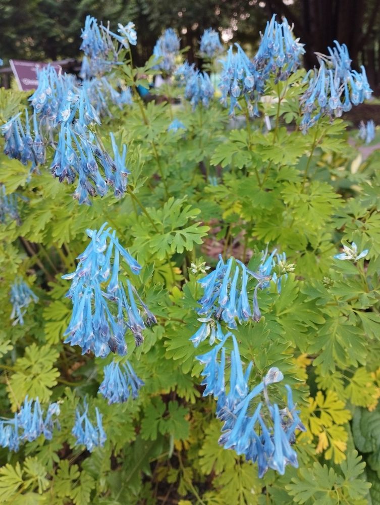 Photograph by Ольга Антохина