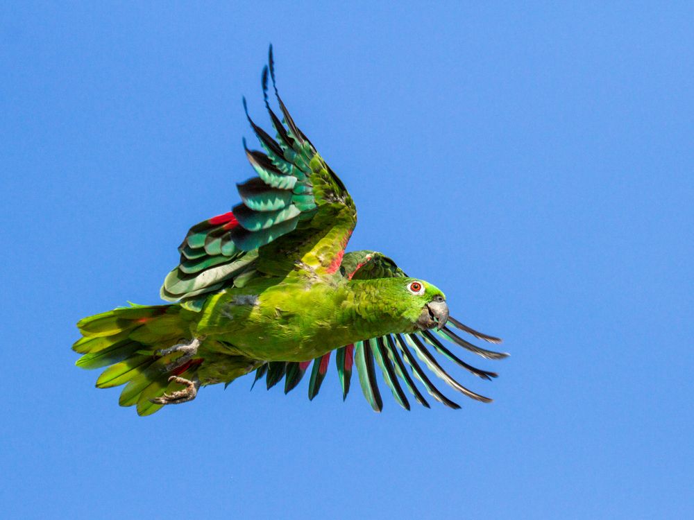 Photograph by Valdir Hobus