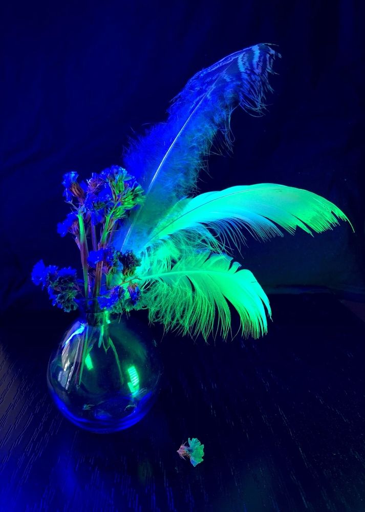 Фотография автора Вита Швец