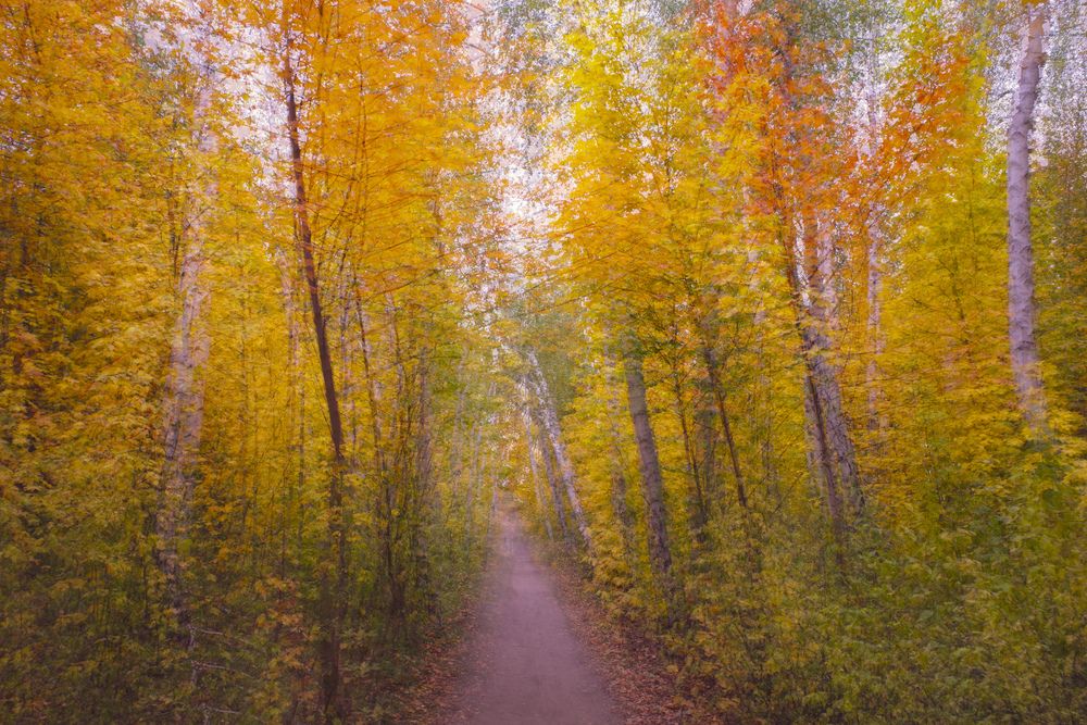 Photograph by Алла Никушкина