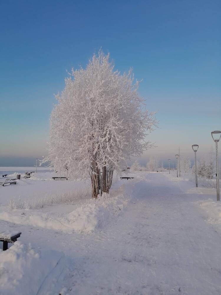 Photograph by Виталий Глазачев