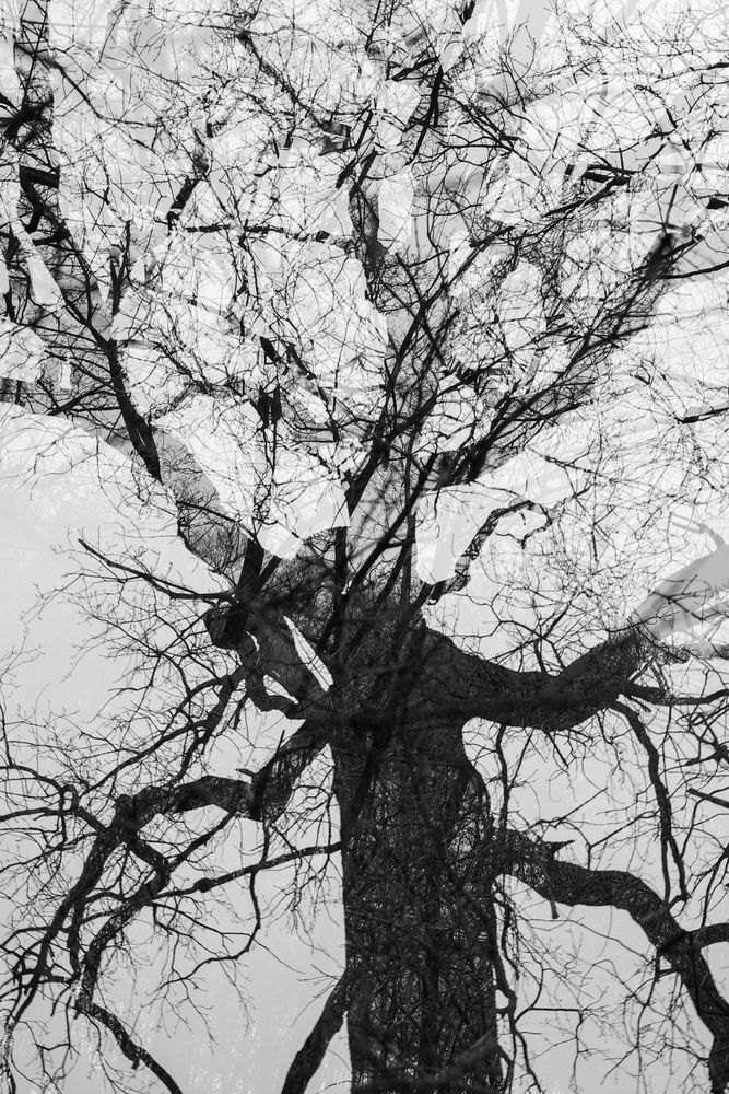 Photograph by Алла Никушкина