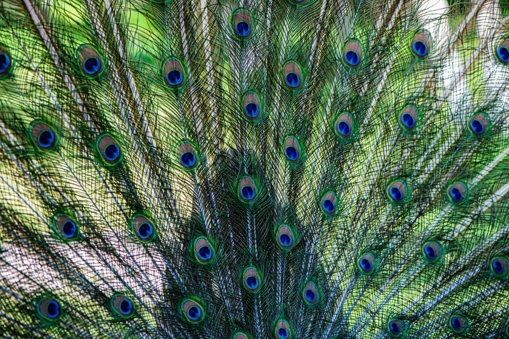 Photograph by Yevgeniy Shushunov