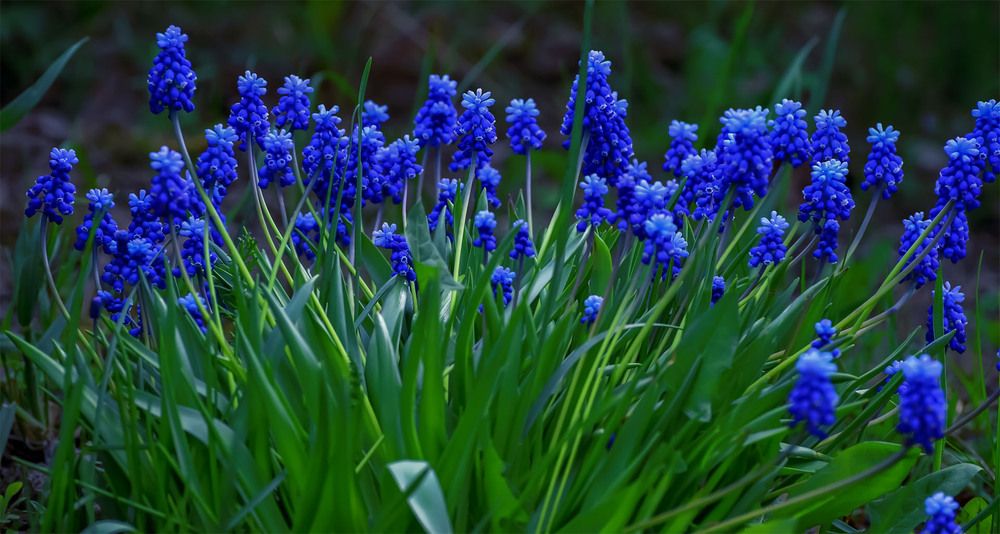 Photograph by Пушкин Сергей