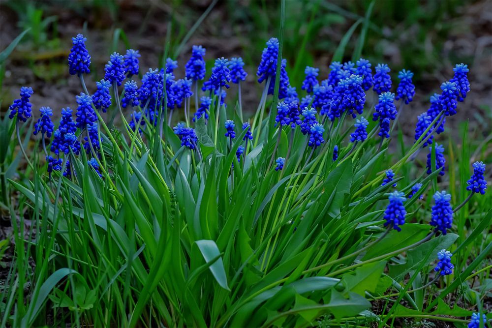 Photograph by Пушкин Сергей
