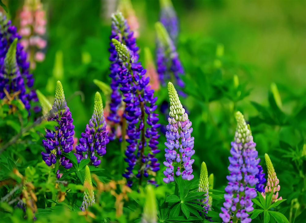 Photograph by Пушкин Сергей