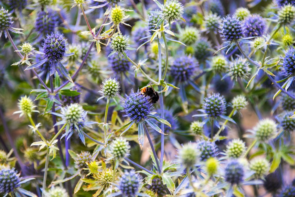 Фотография автора Анатолий Костерев