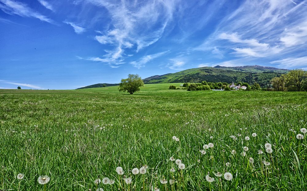 Фотография автора Milena Ivanova