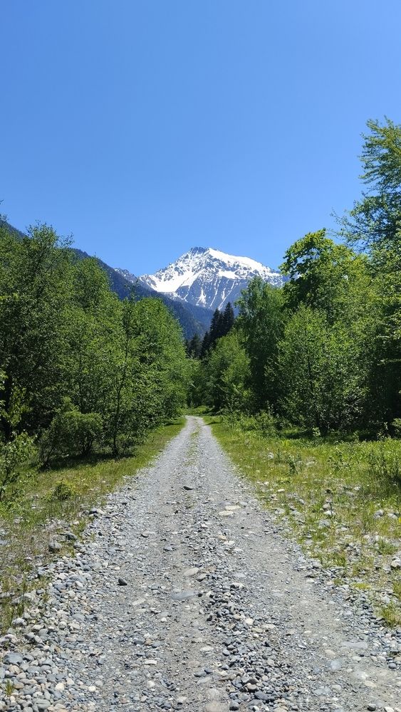 Photograph by Елена Малкова