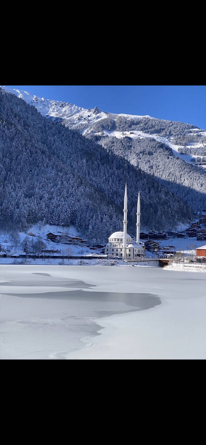 Фотография #13171700