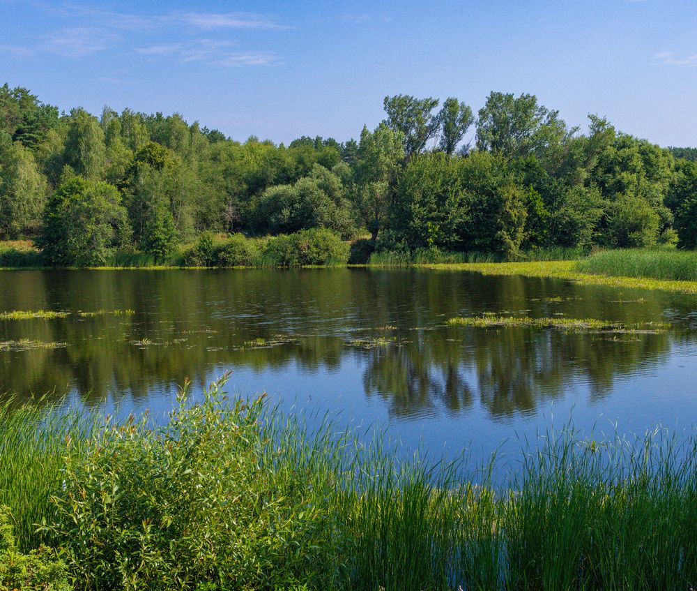 Photograph by Сергей Щербаков