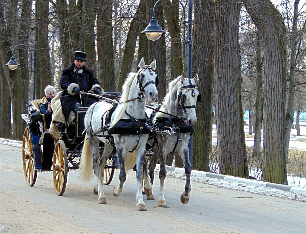 Photograph by Алена