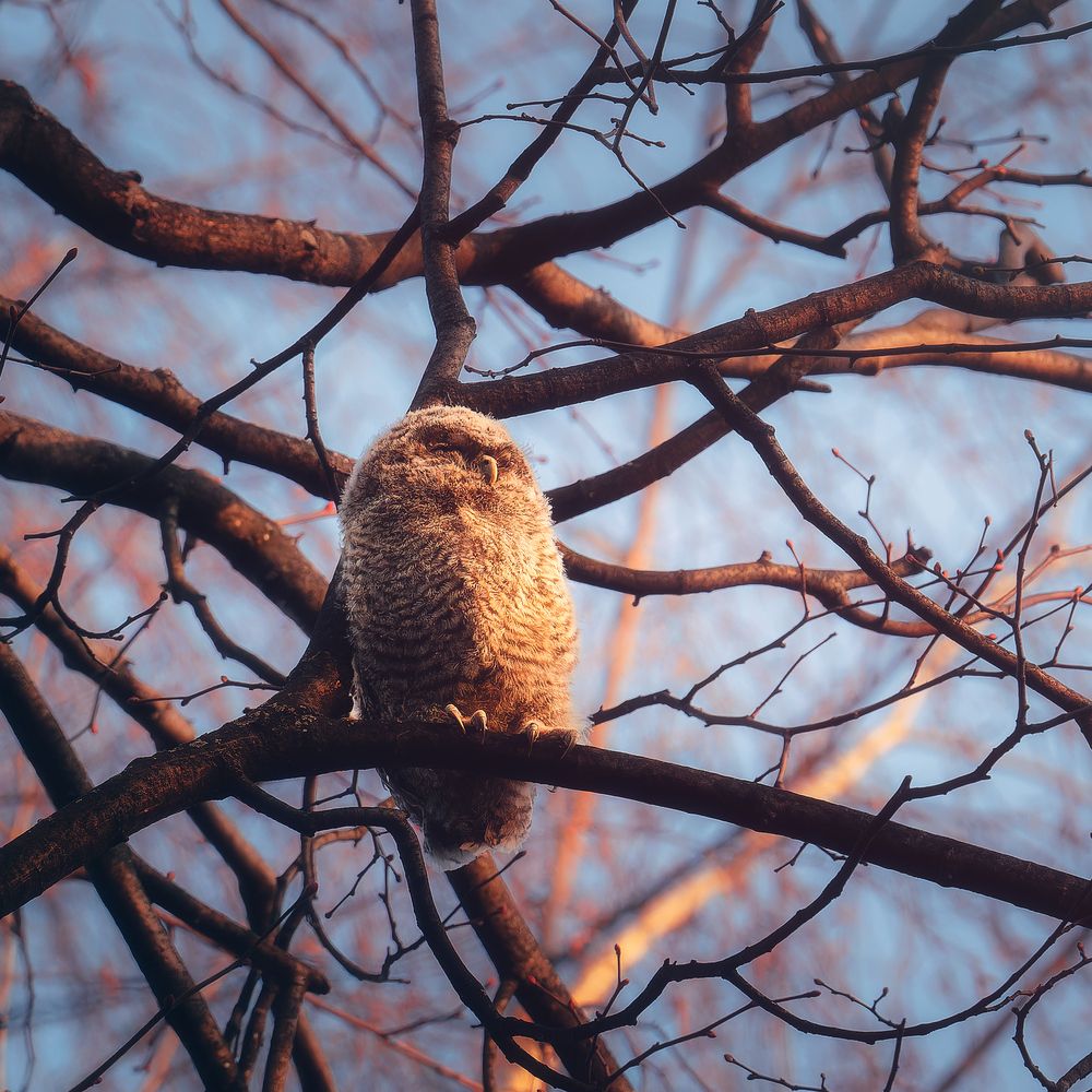 В солнечной ванне