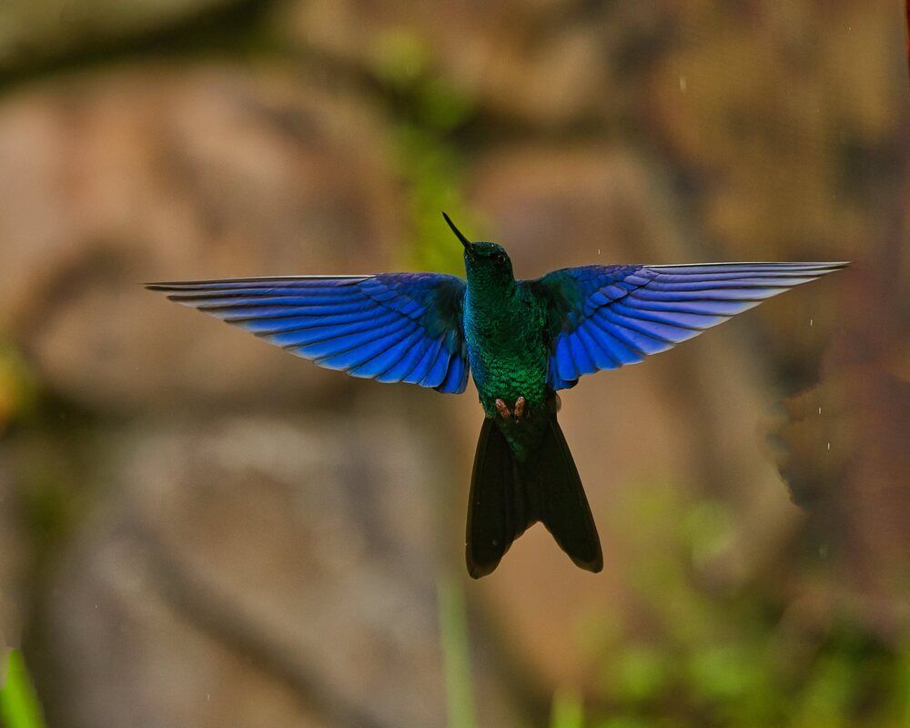 Photograph by Flavio Huamani