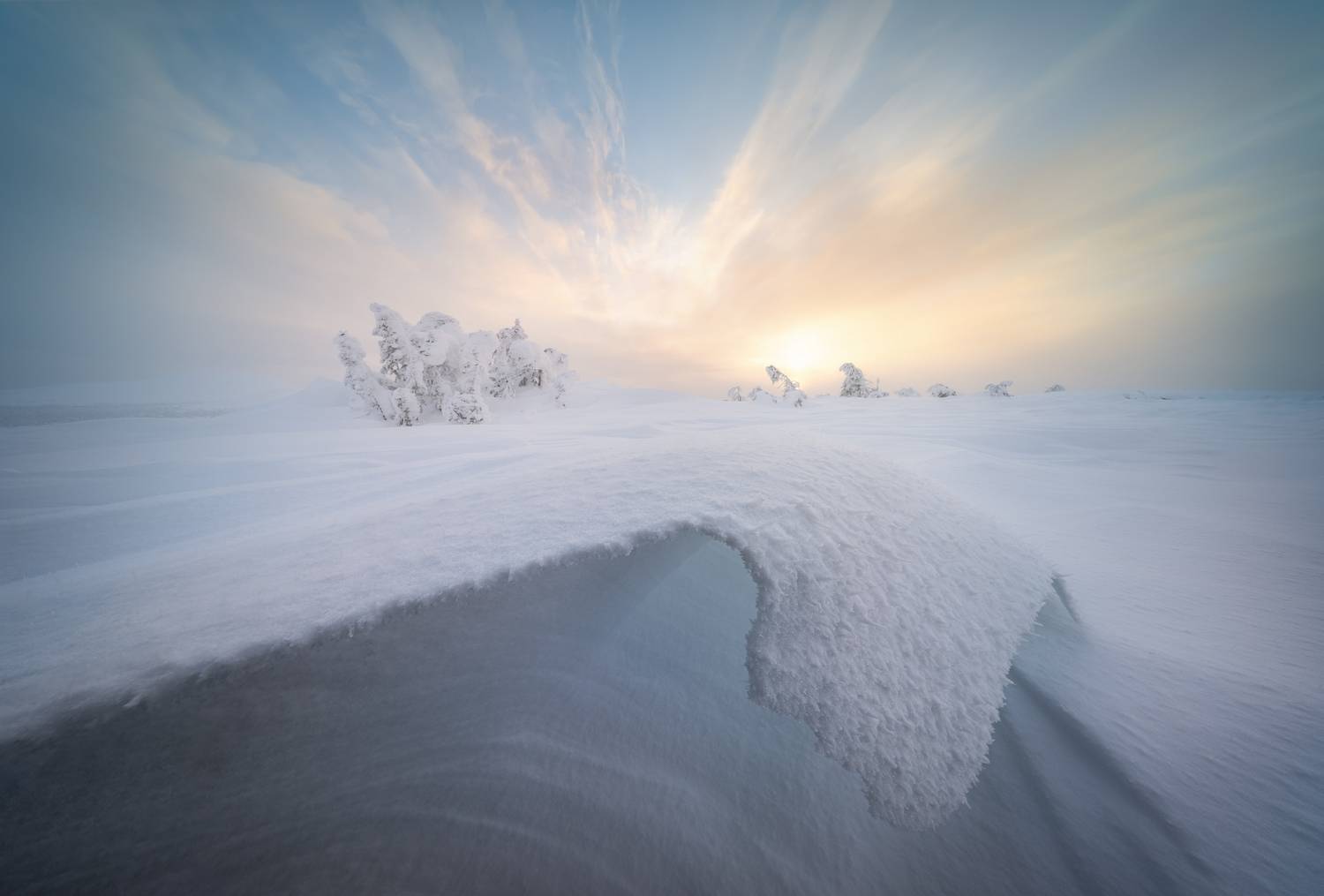 Фотография #13171812