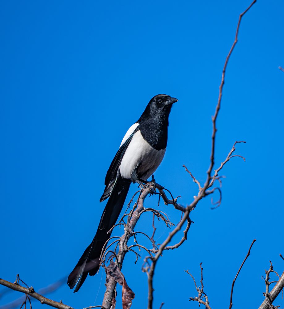 Photograph by Yevgeniy Shushunov