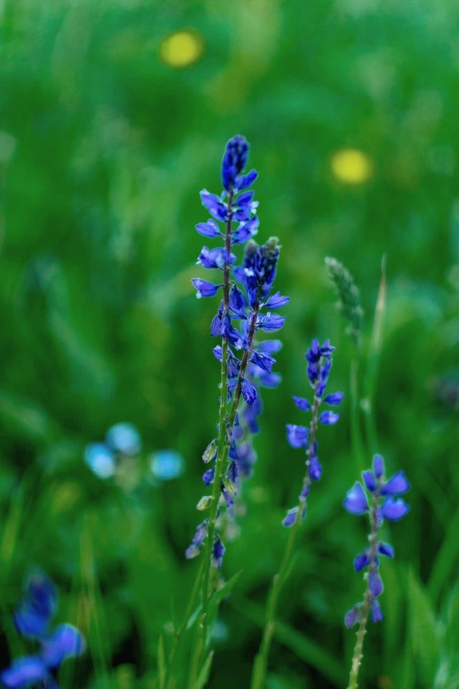 Photograph by Назмутдинова Сауия