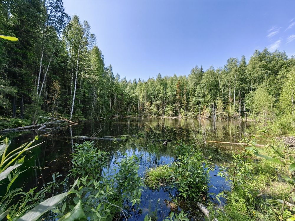 Photograph by Чкареули Светлана