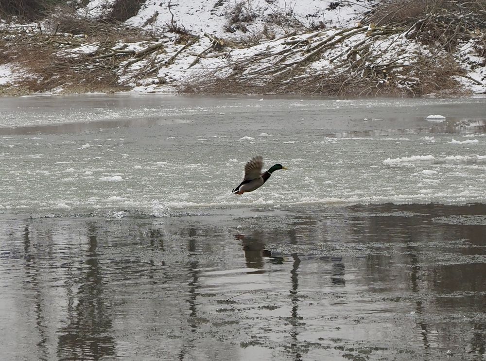 Photograph by Deyan Borisov